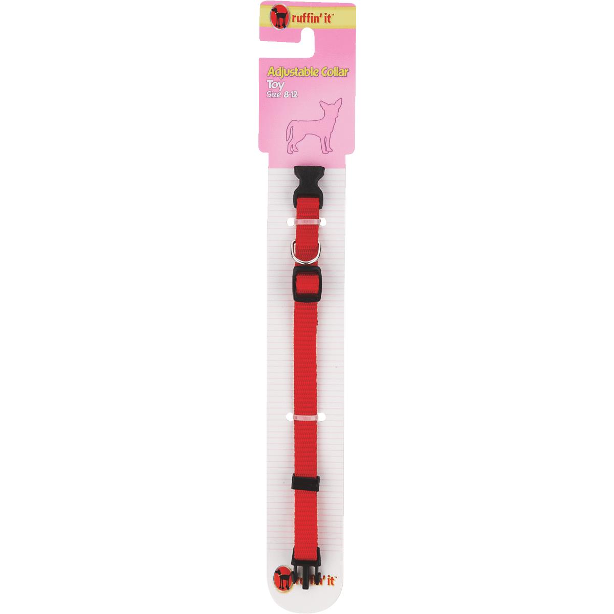 Collars, Leashes & Apparel