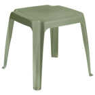 SAGE SQ SIDE TABLE Image 1