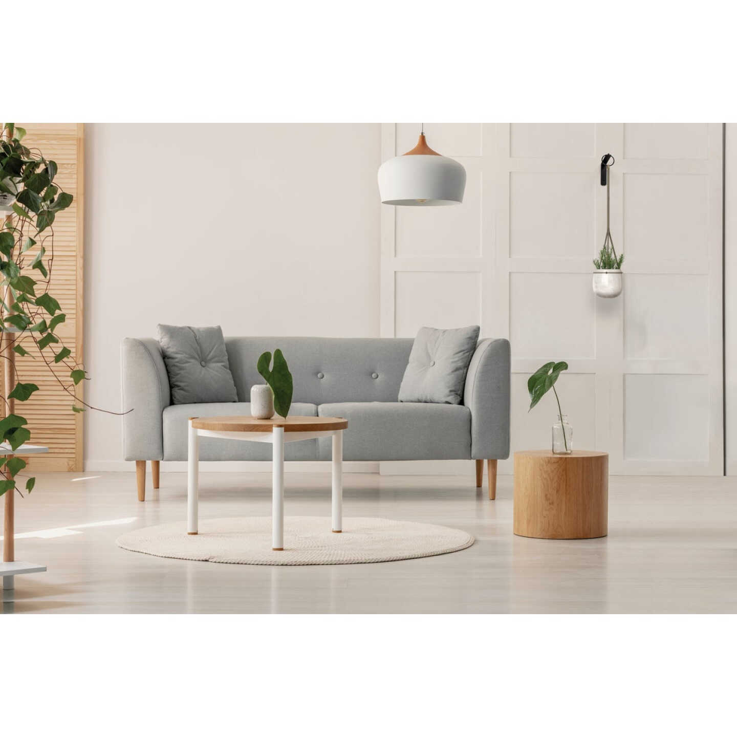 National Hardware 7 In. Black Steel Hanging Wall Plant Bracket Image 2