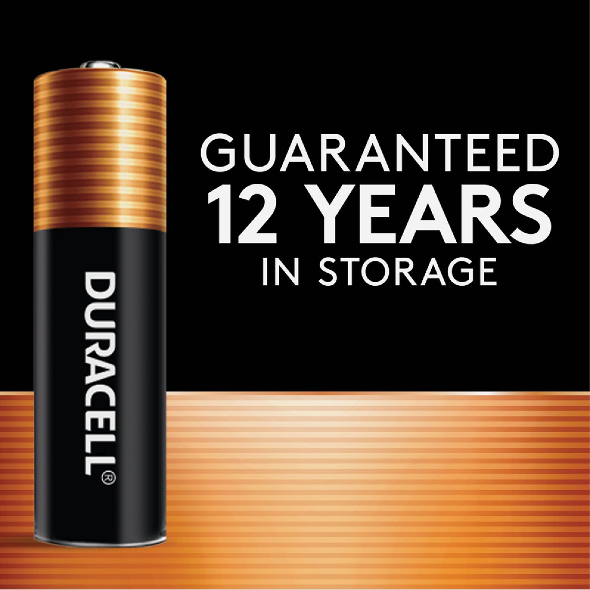 Duracell CopperTop AAA Alkaline Battery (4-Pack) Image 3