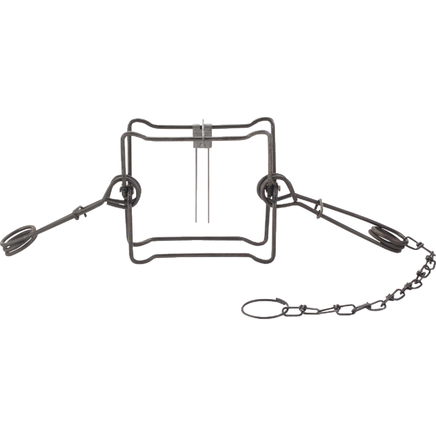 Duke Traps 7 In. Jaw Spread Steel Body Gripping Fisher, Groundhog, & Raccoon Trap Image 1