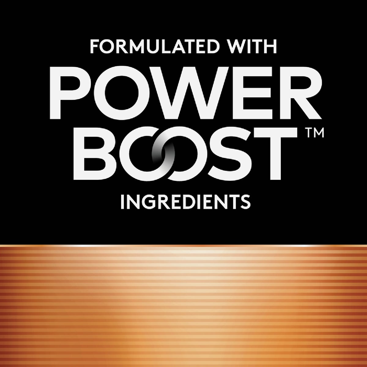 Duracell CopperTop AA Alkaline Battery (8-Pack) Image 2