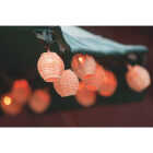 10CT RATTAN LIGHTS Image 3
