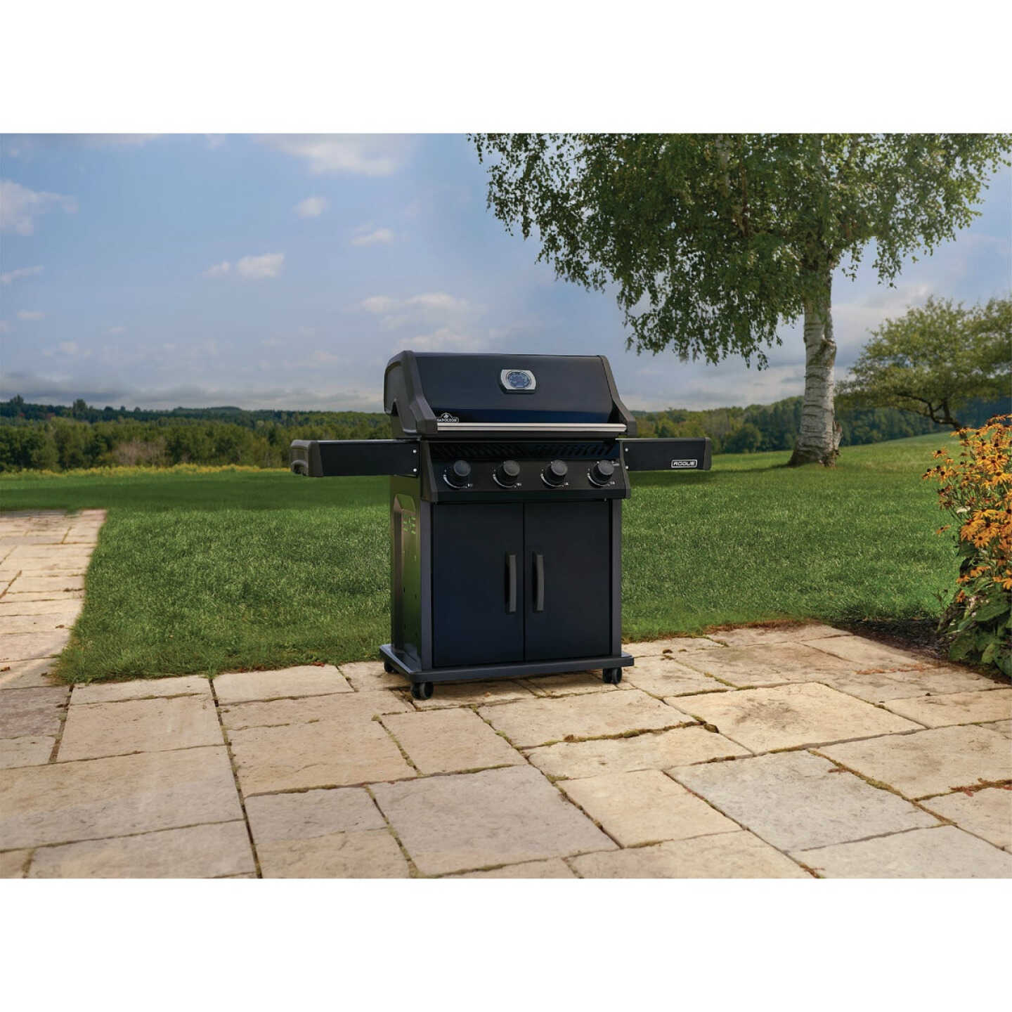 Napoleon Rogue 525 4-Burner Stainless Steel Grids LP Gas Grill, Black Image 3