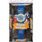 Nature's Own 5 Lb. Black Oil Sunflower Seed Image 1