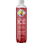 Sparkling Ice 17 Oz. Sparkling Water, Fruit Punch Image 1