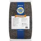 Nature's Own 40 Lb. Black Oil Sunflower Seed Image 2