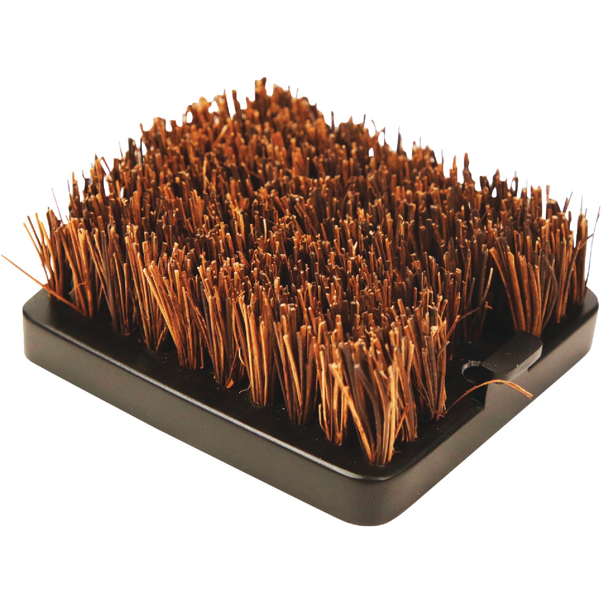 Pit Boss Palmyra Grill Brush Replacement Head Image 1