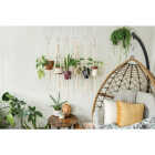 National Hardware 4 In. White Steel Modern Small S-Hook Plant Hanger Image 2