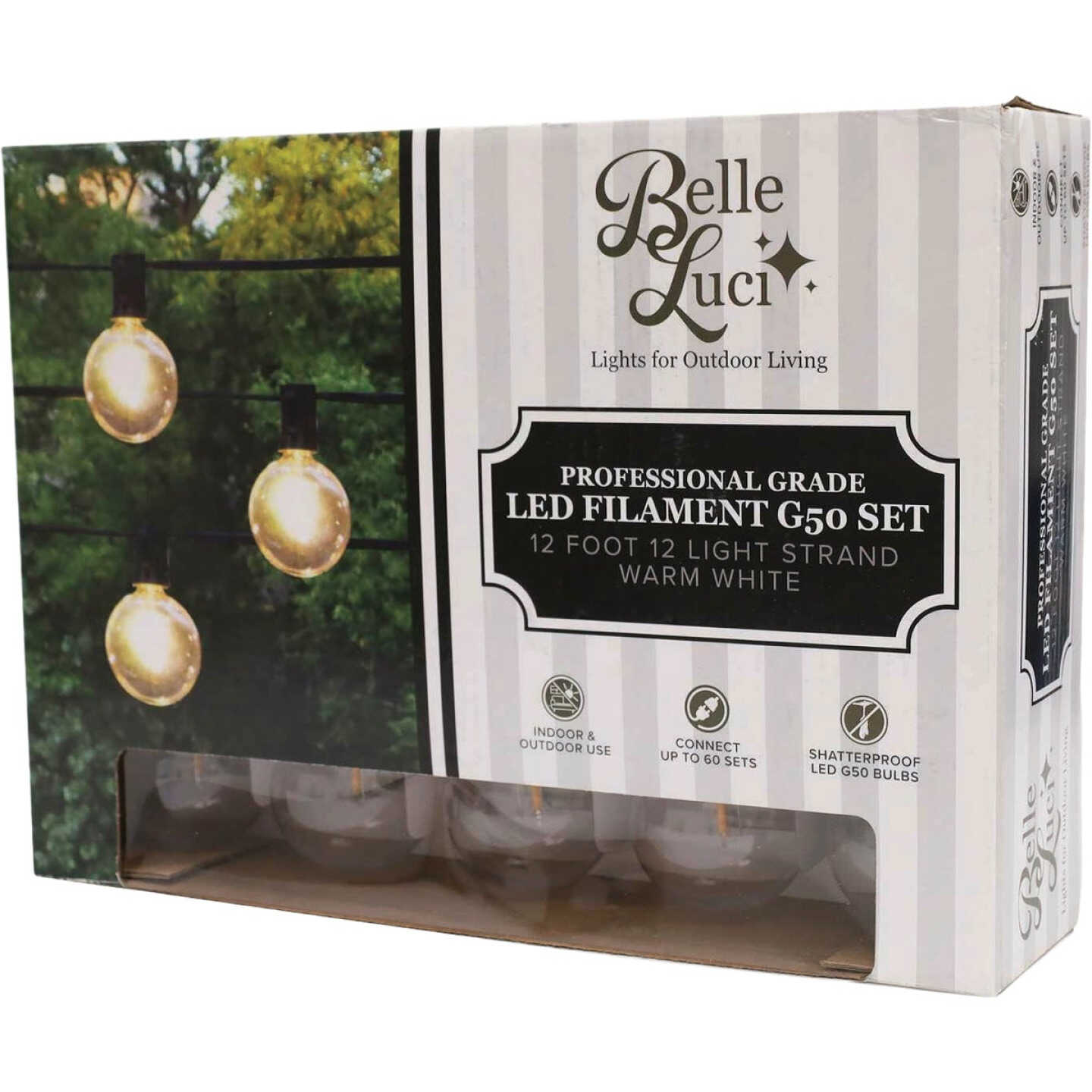Holiday Bright Lights Belle Luci 12-Bulb G50 Warm White Transparent LED Light Set Image 1