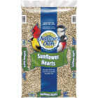 Nature's Own 15 Lb. Black Oil Sunflower Hearts Image 1