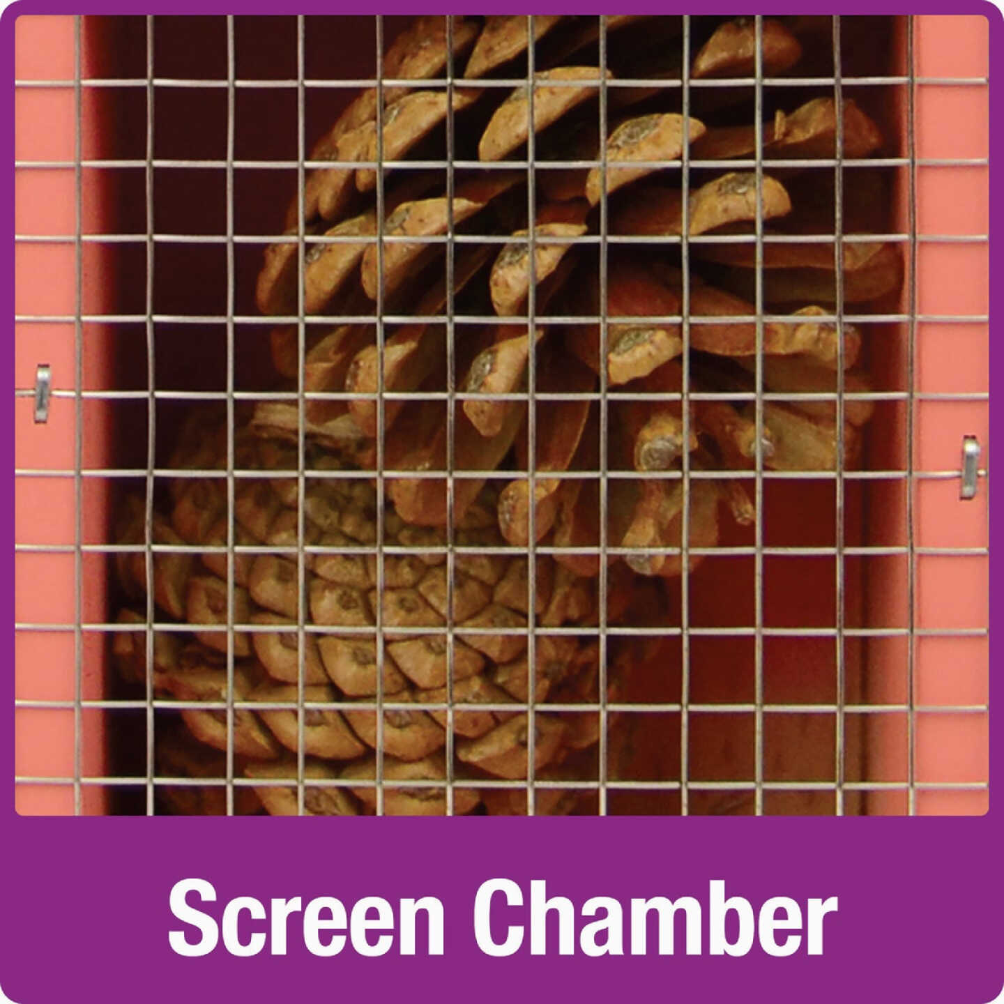 Nature's Way Dual-Chamber Insect House Image 4