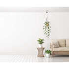 National Hardware 32 In. Black Steel Modern Ceiling J-Hook Plant Hanger Image 2