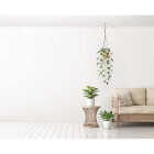 National Hardware 32 In. Brushed Gold Steel Modern Ceiling J-Hook Plant Hanger Image 2