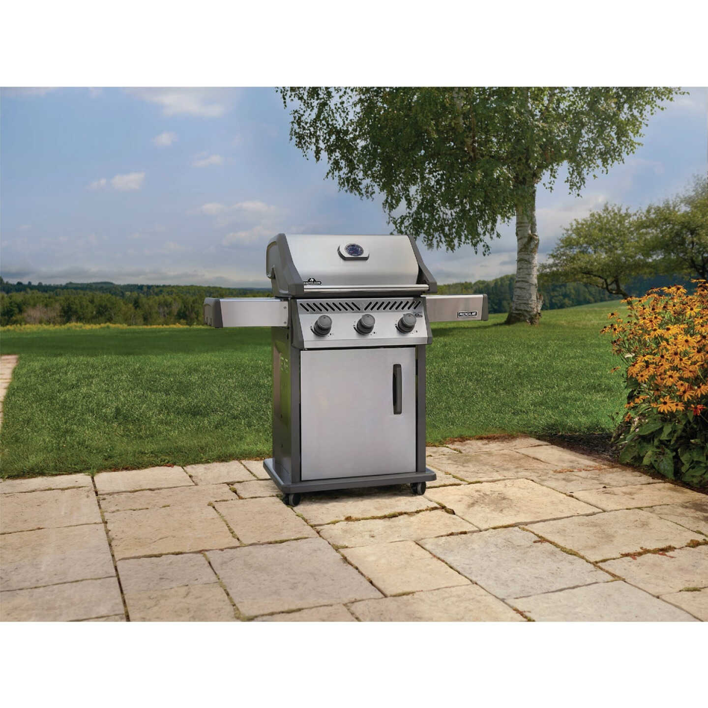 Napoleon Rogue 425 3-Burner with Cast Iron Grids LP Gas Grill, Stainless Steel Image 2