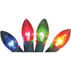 Home Impressions Transparent Multi 25-Bulb C9 Incandescent Light Set Image 1