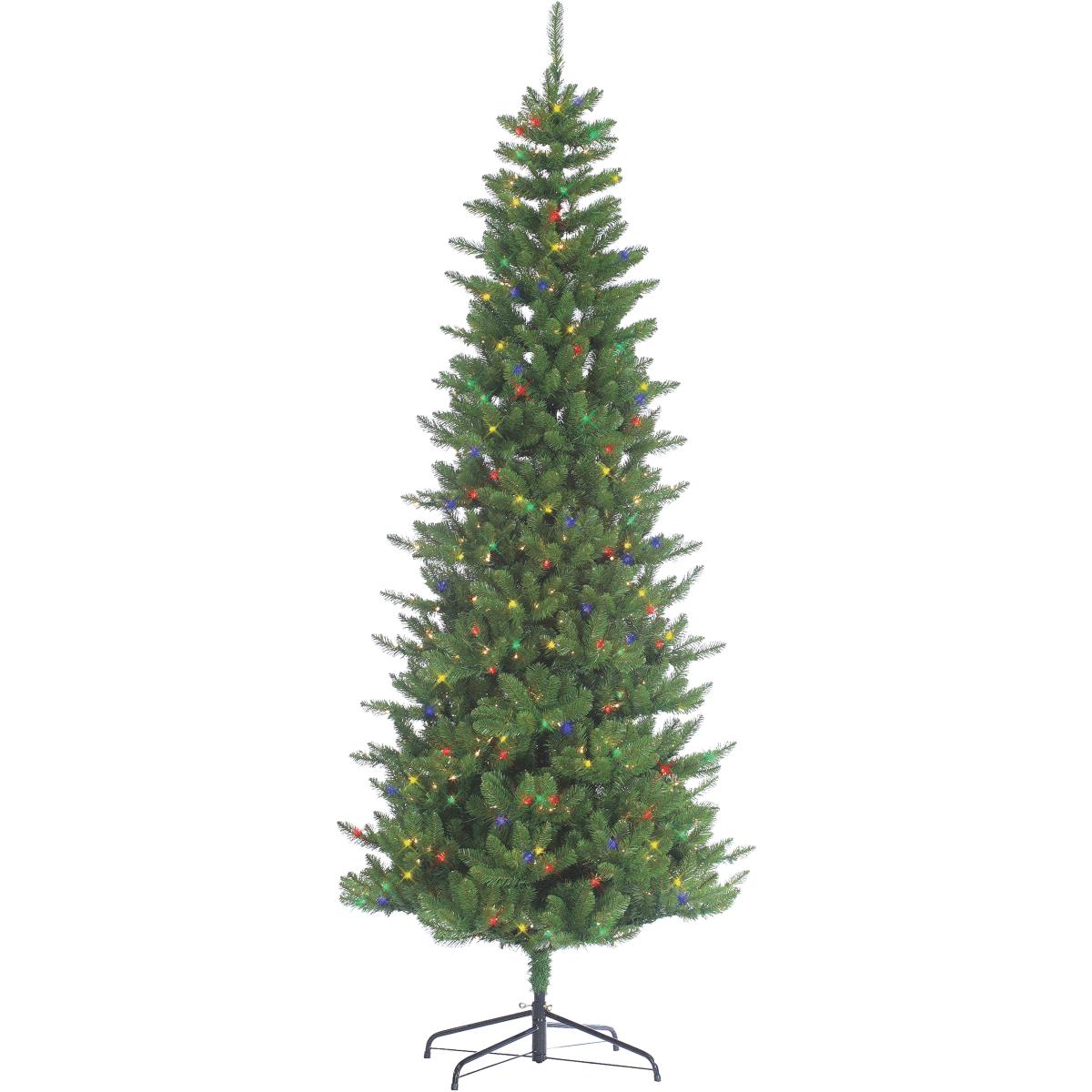 7.5' AUGUSTA PINE TREE