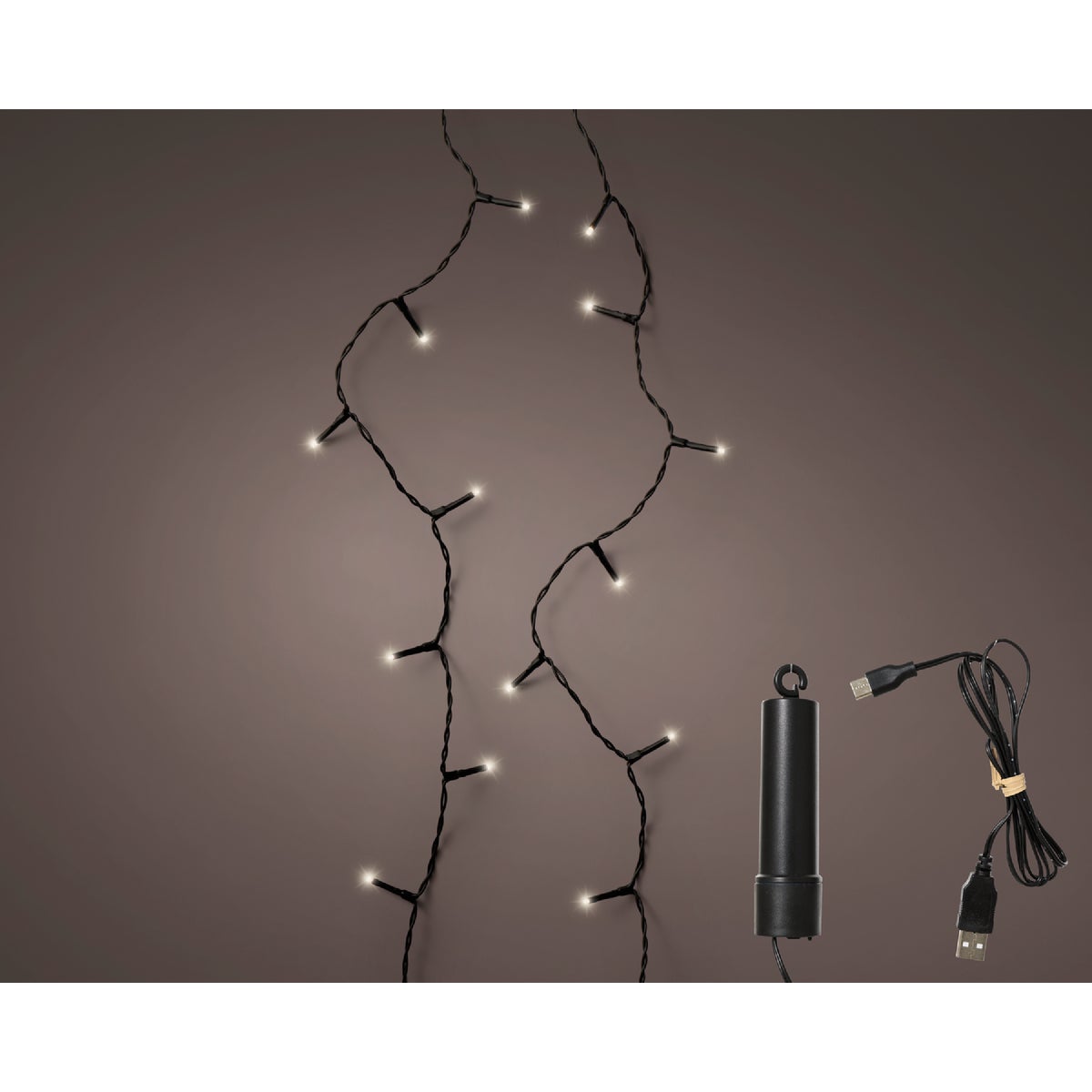 Lumineo Duracharge 24.3 Ft. Warm White LED Rechargeable Light Set Image 2