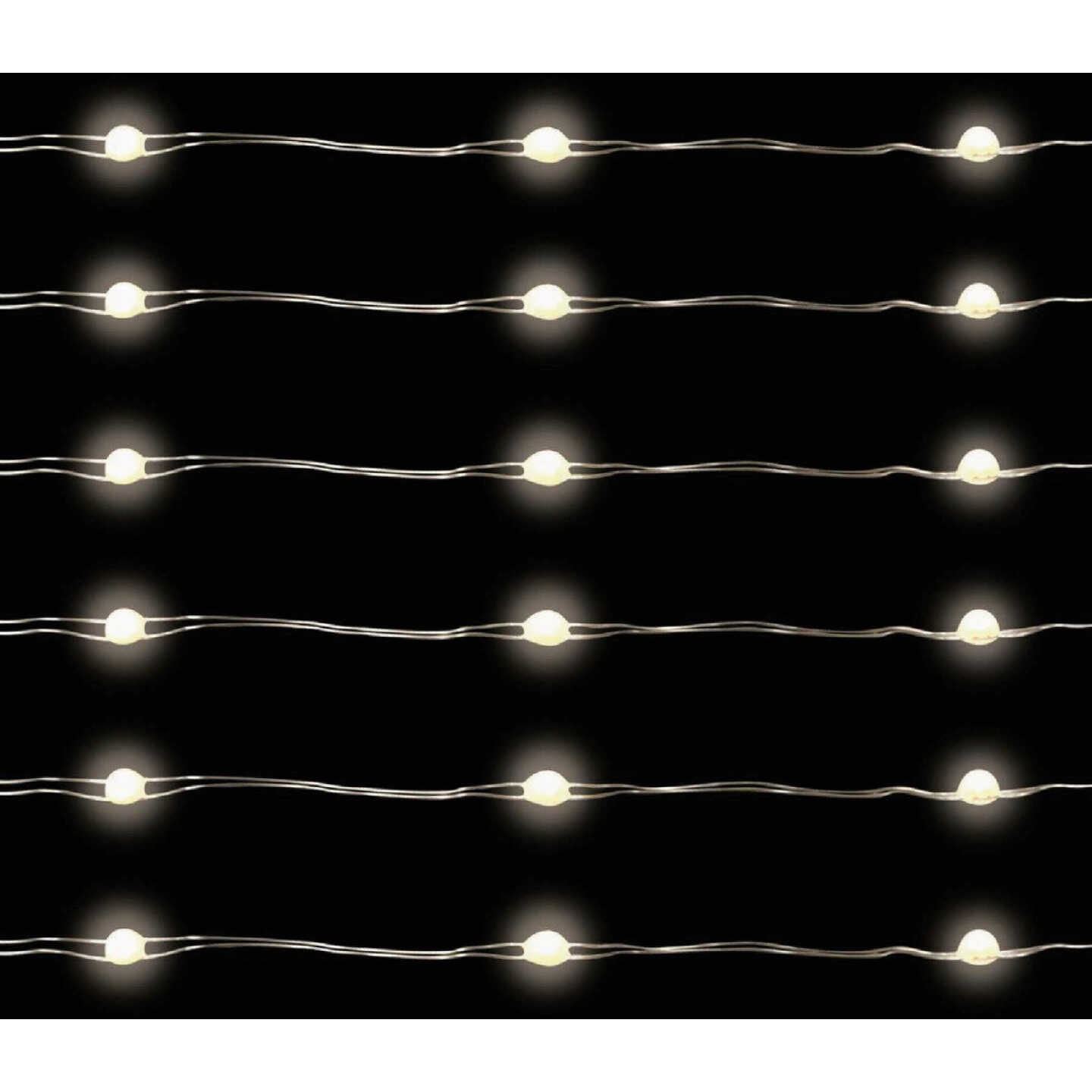 Holiday Bright Lights 50-Bulb Pure White Big Seed Micro LED Battery Operated Light Set with Silver Wire Image 2