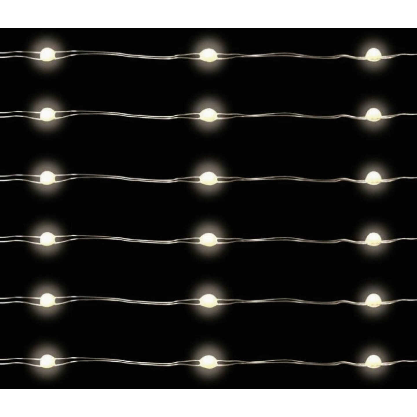 Holiday Bright Lights 100-Bulb Pure White Big Seed Micro LED Battery Operated Light Set with Silver Wire Image 2