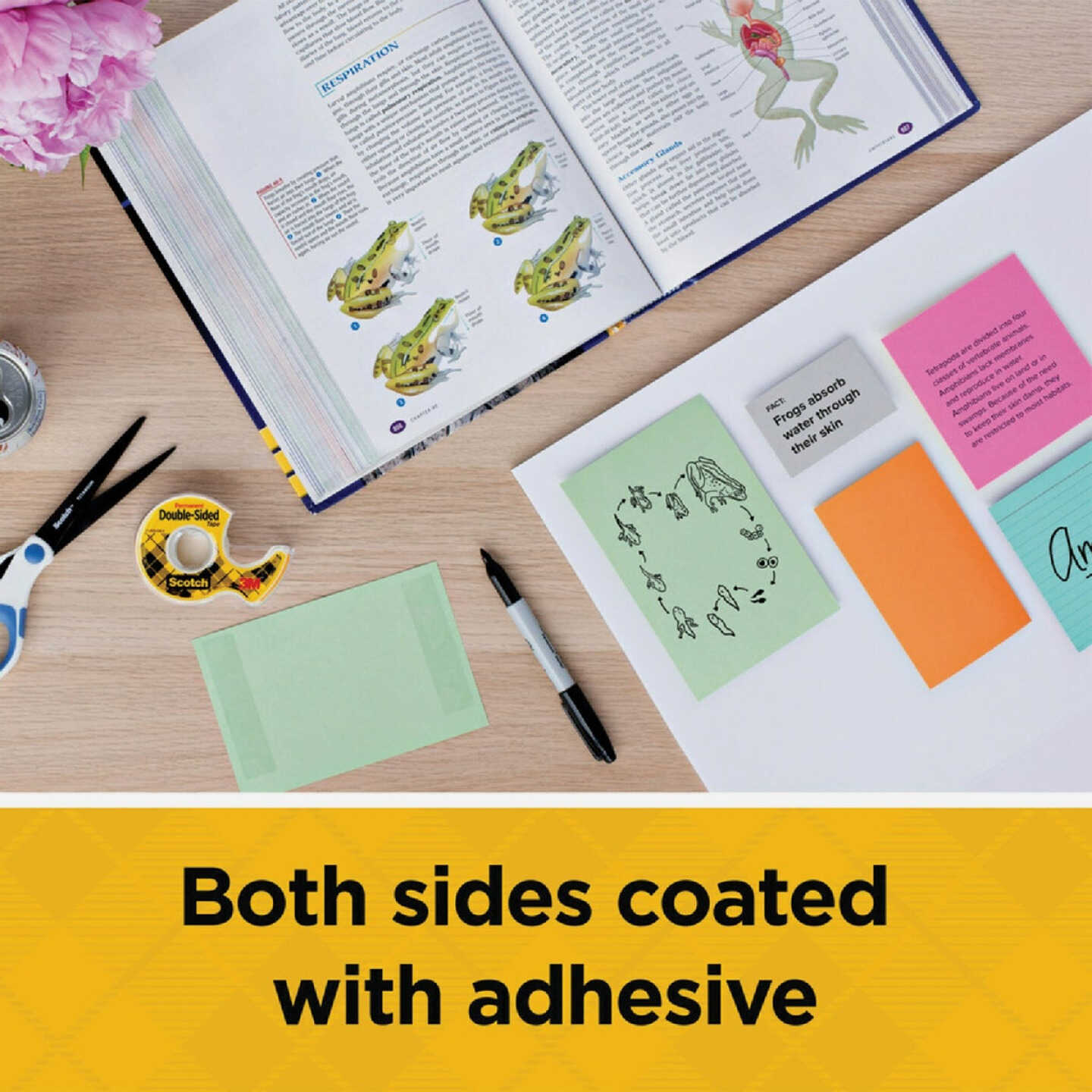 Scotch Permament Double Sided Tape, 1/2 In. x 250 In. Image 2