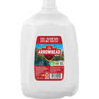 Arrowhead 1 Gal. Spring Water Image 1